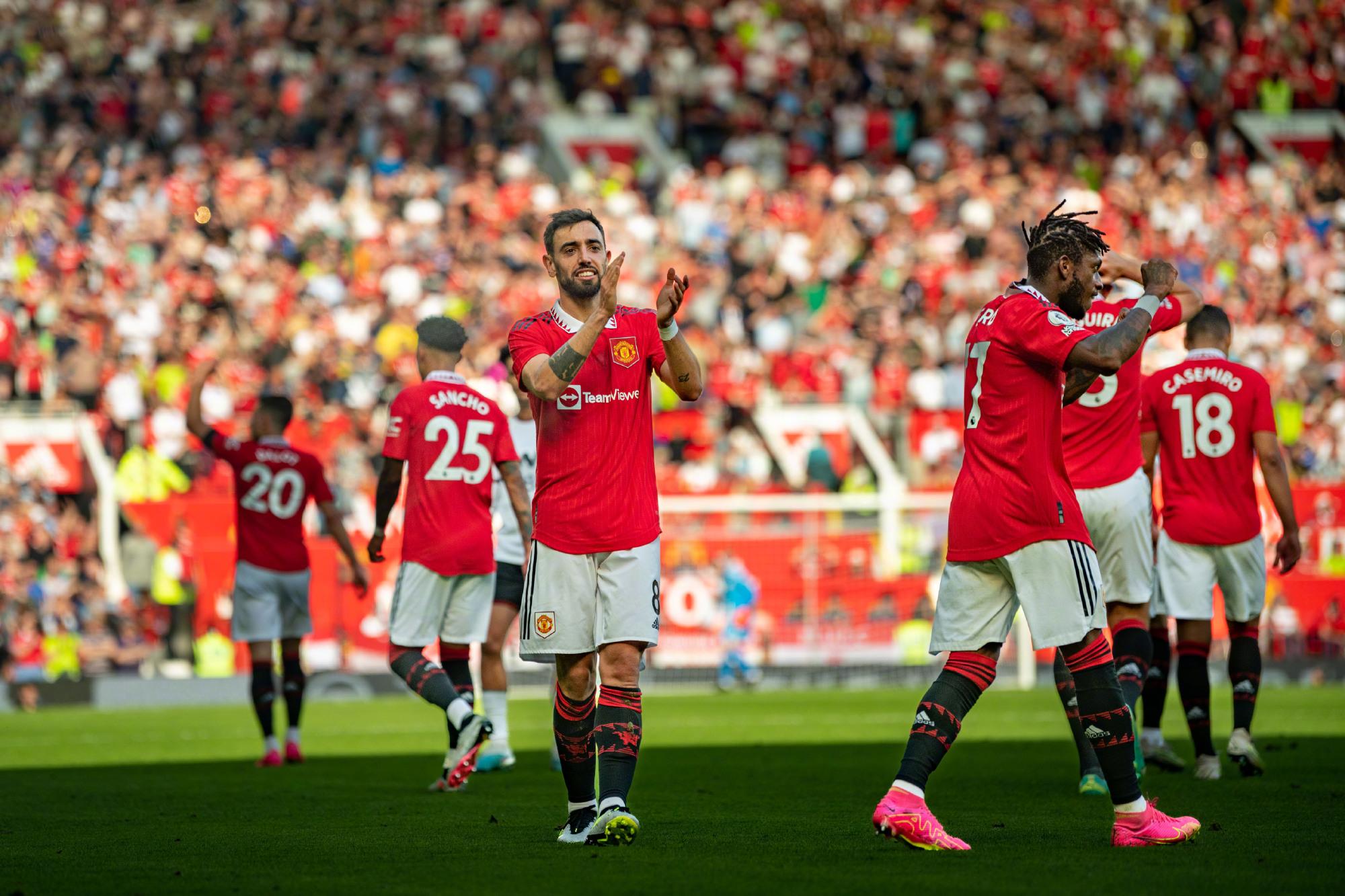 是审美选择 是审美选择